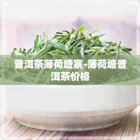 普洱茶薄荷塘寨-薄荷塘普洱茶价格