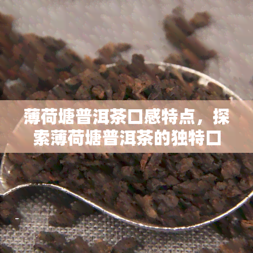 薄荷塘普洱茶口感特点，探索薄荷塘普洱茶的独特口感特点