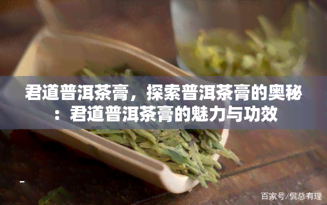 君道普洱茶膏，探索普洱茶膏的奥秘：君道普洱茶膏的魅力与功效