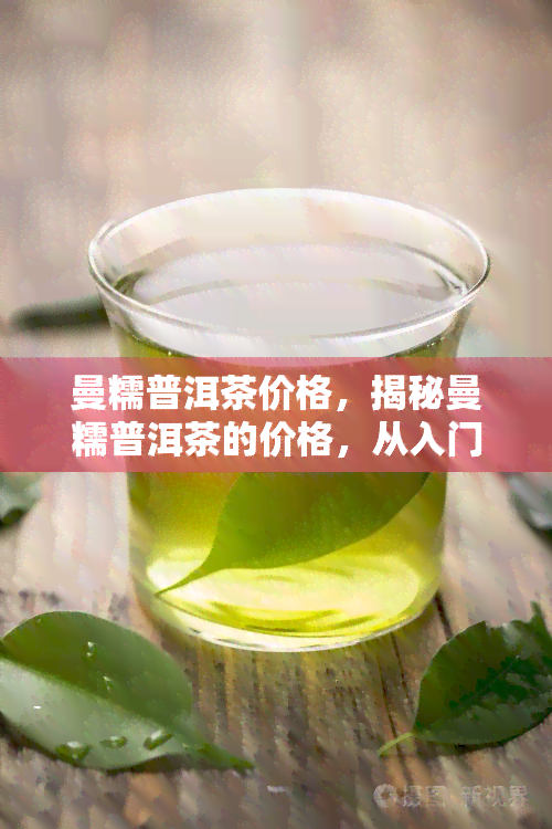 曼糯普洱茶价格，揭秘曼糯普洱茶的价格，从入门到高端一网打尽！