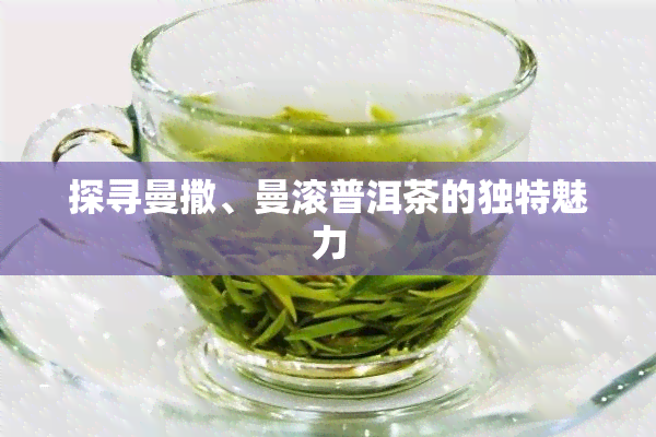 探寻曼撒、曼滚普洱茶的独特魅力