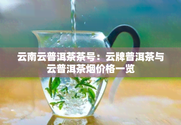 云南云普洱茶茶号：云牌普洱茶与云普洱茶烟价格一览