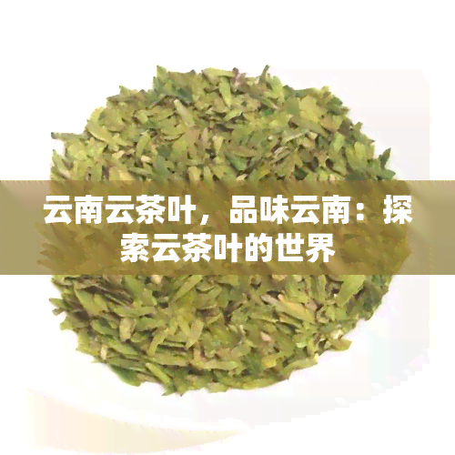 云南云茶叶，品味云南：探索云茶叶的世界