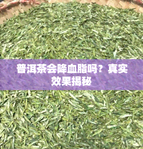 普洱茶会降血脂吗？真实效果揭秘