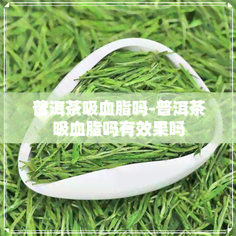 普洱茶吸血脂吗-普洱茶吸血脂吗有效果吗