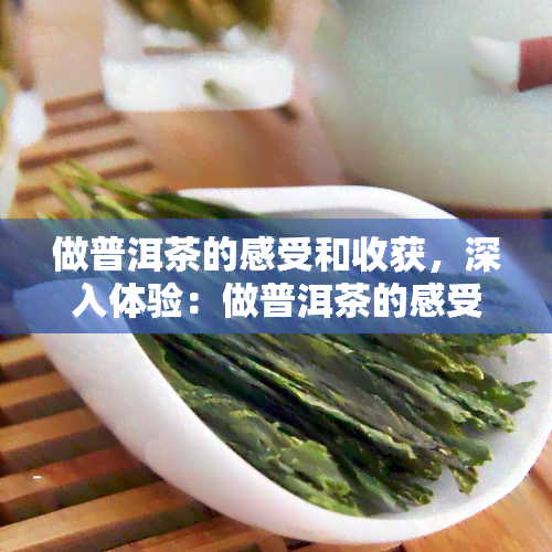 做普洱茶的感受和收获，深入体验：做普洱茶的感受与收获