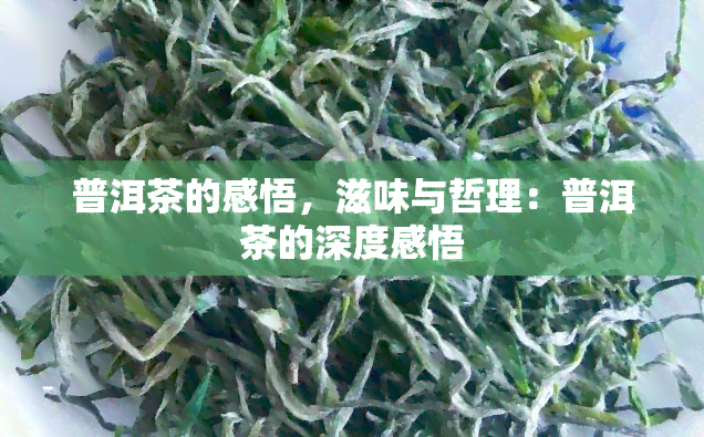 普洱茶的感悟，滋味与哲理：普洱茶的深度感悟