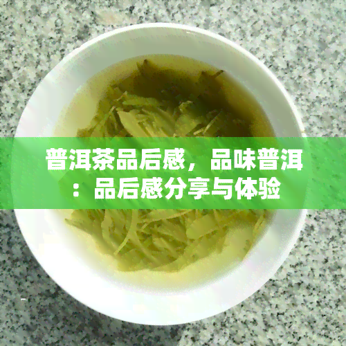 普洱茶品后感，品味普洱：品后感分享与体验