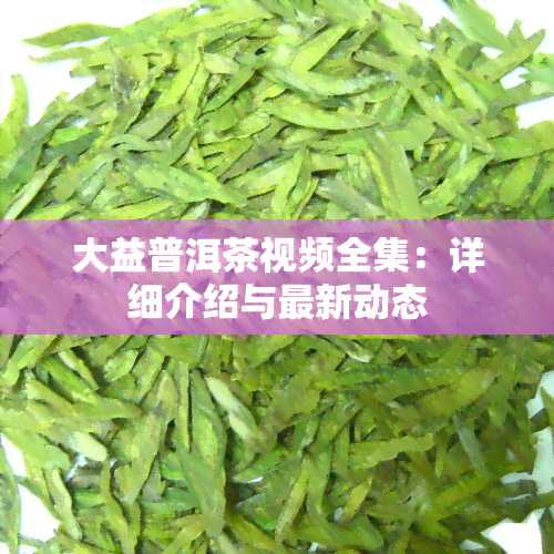 大益普洱茶视频全集：详细介绍与最新动态