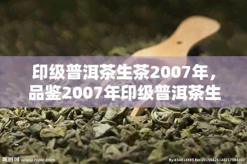 印级普洱茶生茶2007年，品鉴2007年印级普洱茶生茶，感受岁月陈香的韵味