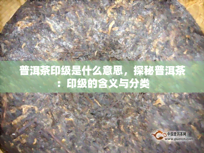 普洱茶印级是什么意思，探秘普洱茶：印级的含义与分类