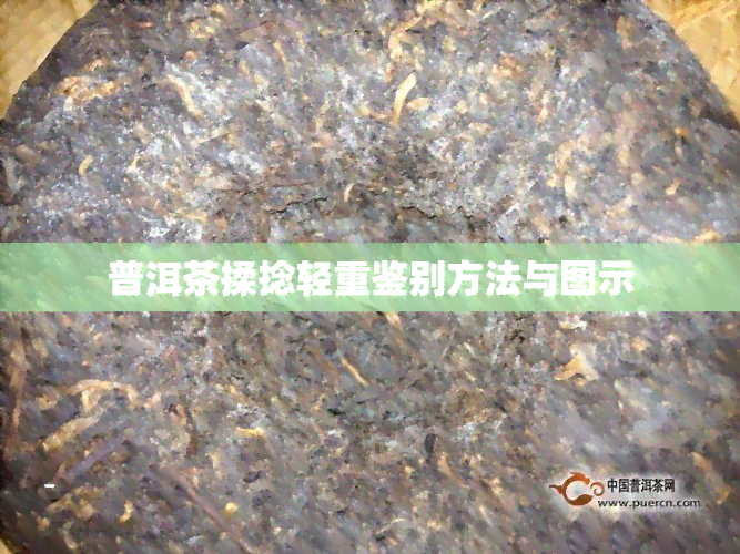 普洱茶揉捻轻重鉴别方法与图示