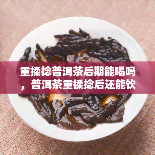 重揉捻普洱茶后期能喝吗，普洱茶重揉捻后还能饮用吗？