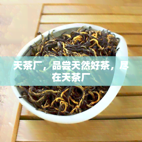 天茶厂，品尝天然好茶，尽在天茶厂