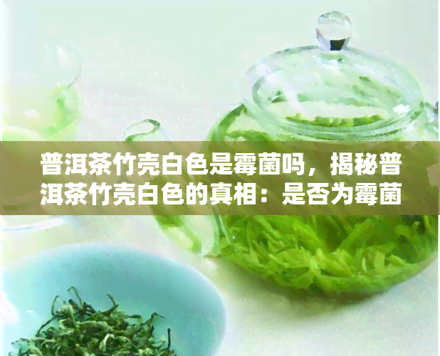 普洱茶竹壳白色是霉菌吗，揭秘普洱茶竹壳白色的真相：是否为霉菌？