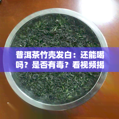 普洱茶竹壳发白：还能喝吗？是否有？看视频揭晓答案！