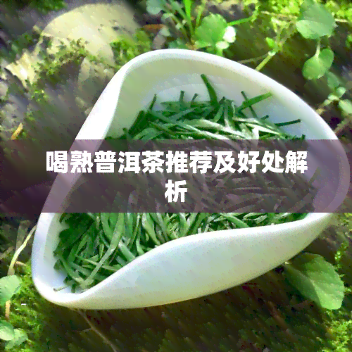 喝熟普洱茶推荐及好处解析