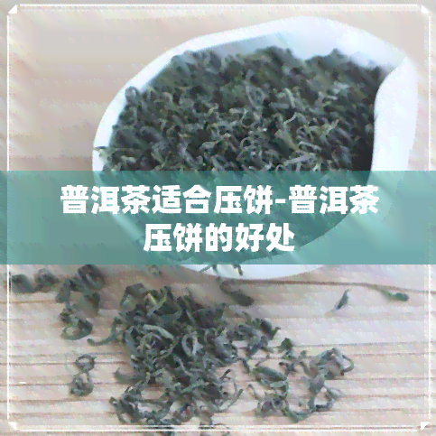 普洱茶适合压饼-普洱茶压饼的好处