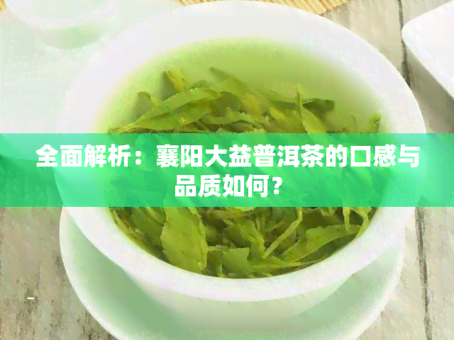 全面解析：襄阳大益普洱茶的口感与品质如何？