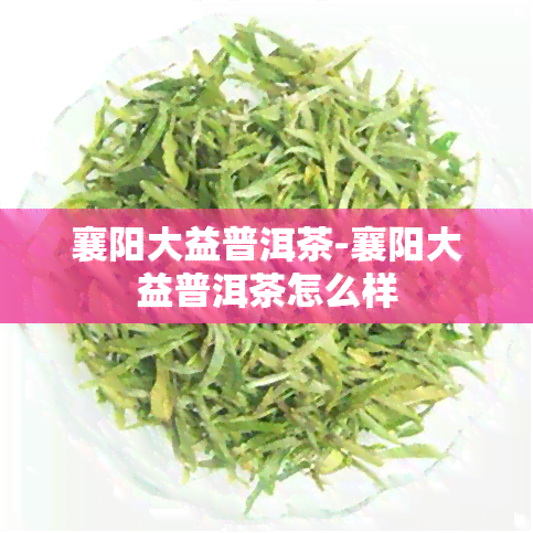 襄阳大益普洱茶-襄阳大益普洱茶怎么样