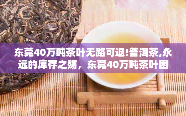 东莞40万吨茶叶无路可退!普洱茶,永远的库存之殇，东莞40万吨茶叶困局：普洱茶行业面临库存之殇