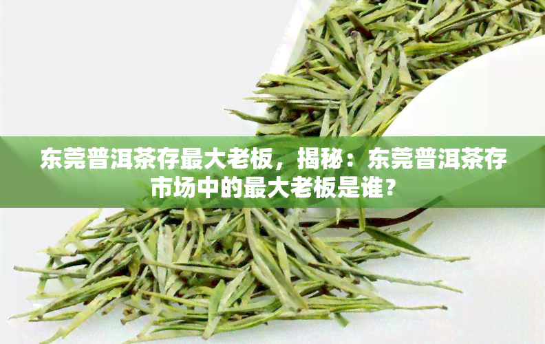 东莞普洱茶存更大老板，揭秘：东莞普洱茶存市场中的更大老板是谁？