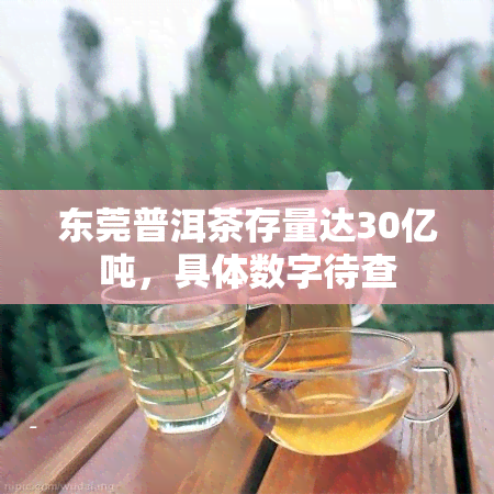 东莞普洱茶存量达30亿吨，具体数字待查