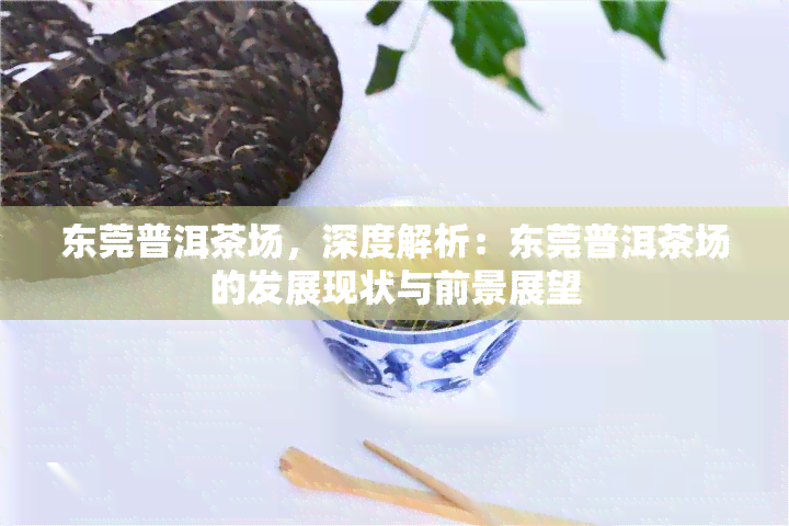 东莞普洱茶场，深度解析：东莞普洱茶场的发展现状与前景展望