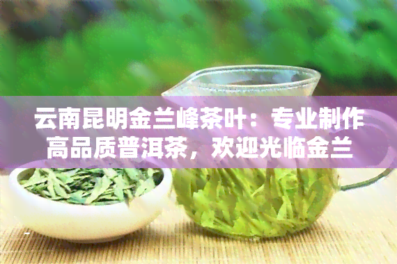 云南昆明金兰峰茶叶：专业制作高品质普洱茶，欢迎光临金兰茶室，品尝我们的茶品。