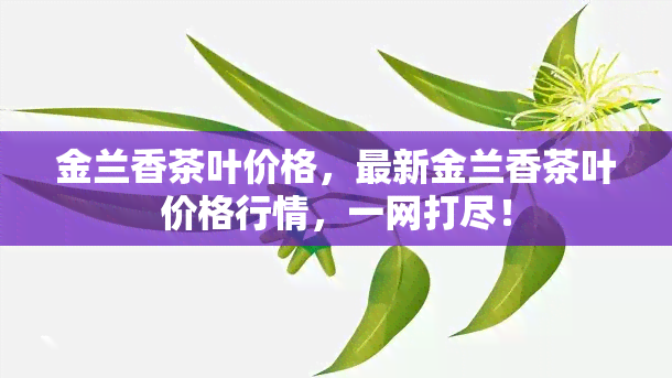 金兰香茶叶价格，最新金兰香茶叶价格行情，一网打尽！