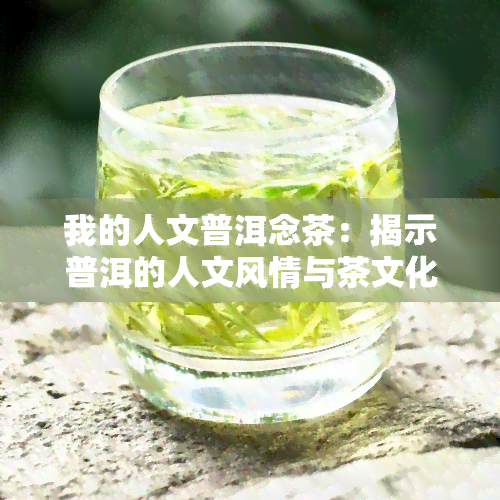 我的人文普洱念茶：揭示普洱的人文风情与茶文化底蕴