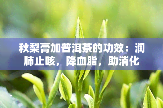 秋梨膏加普洱茶的功效：润肺止咳，降血脂，助消化