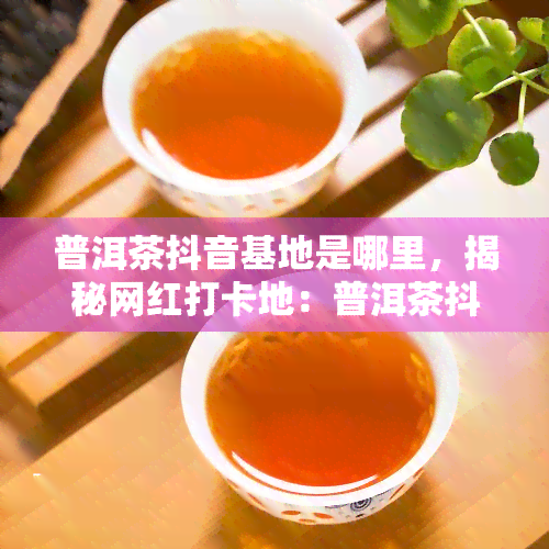 普洱茶抖音基地是哪里，揭秘网红打卡地：普洱茶抖音基地究竟位于何处？