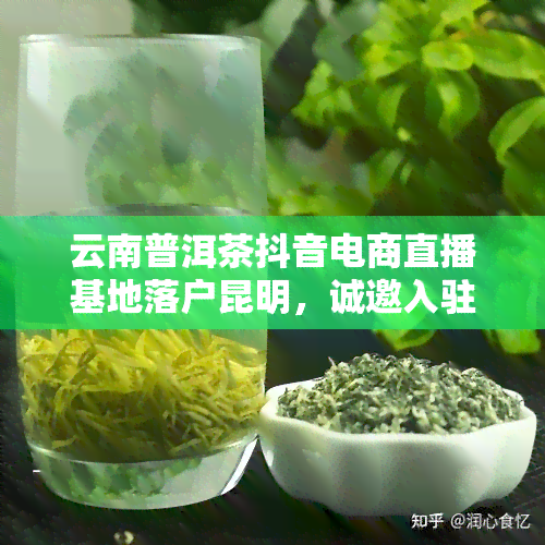 云南普洱茶抖音电商直播基地落户昆明，诚邀入驻，欢迎垂询！