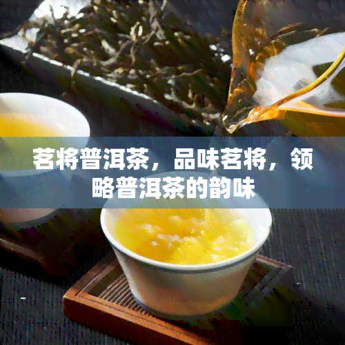 茗将普洱茶，品味茗将，领略普洱茶的韵味