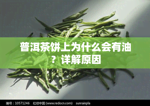 普洱茶饼上为什么会有油？详解原因