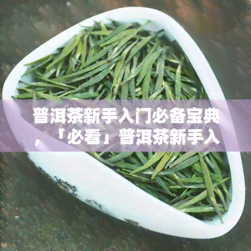 普洱茶新手入门必备宝典，「必看」普洱茶新手入门必备宝典！从基础知识到品鉴技巧一网打尽！