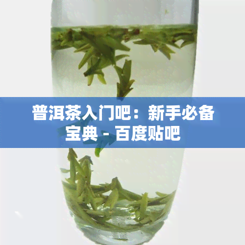 普洱茶入门吧：新手必备宝典 - 百度贴吧