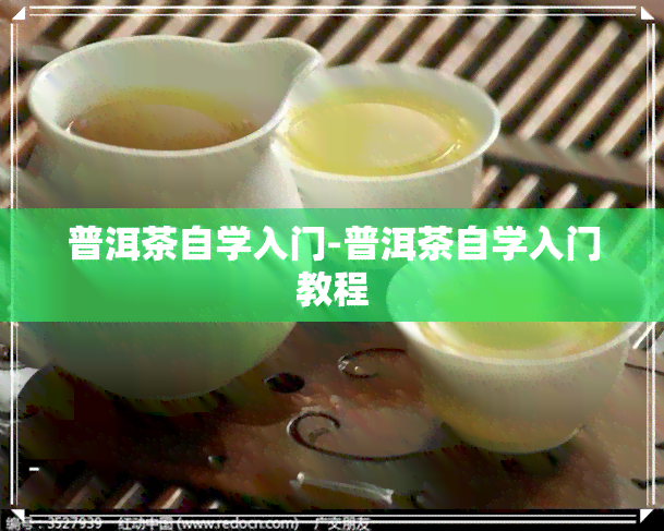 普洱茶自学入门-普洱茶自学入门教程