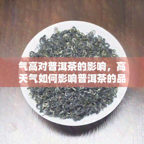 气高对普洱茶的影响，高天气如何影响普洱茶的品质和口感？