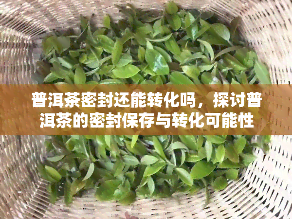 普洱茶密封还能转化吗，探讨普洱茶的密封保存与转化可能性