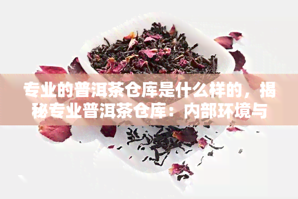 专业的普洱茶仓库是什么样的，揭秘专业普洱茶仓库：内部环境与管理规