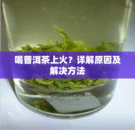 喝普洱茶上火？详解原因及解决方法