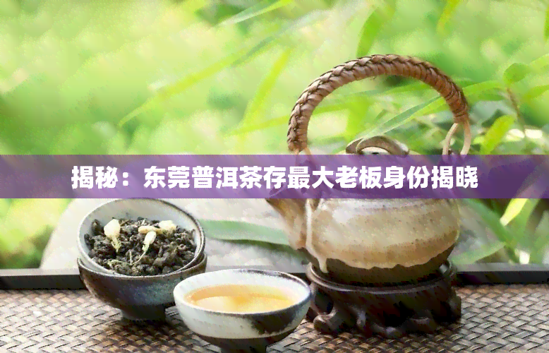 揭秘：东莞普洱茶存更大老板身份揭晓