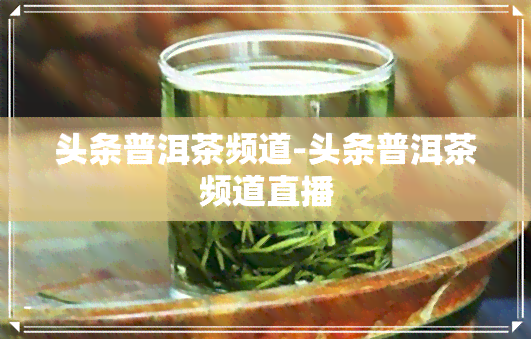 头条普洱茶频道-头条普洱茶频道直播