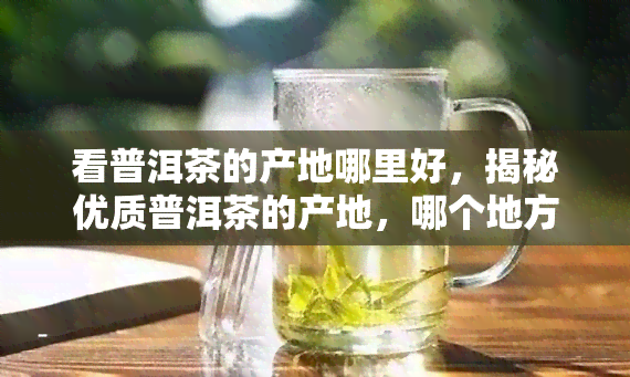 看普洱茶的产地哪里好，揭秘优质普洱茶的产地，哪个地方？