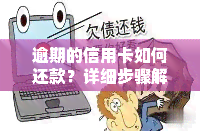 逾期的信用卡如何还款？详细步骤解析