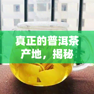 真正的普洱茶产地，揭秘真正的普洱茶产地，品味地道的普洱香韵