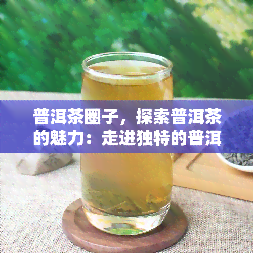 普洱茶圈子，探索普洱茶的魅力：走进独特的普洱茶圈子