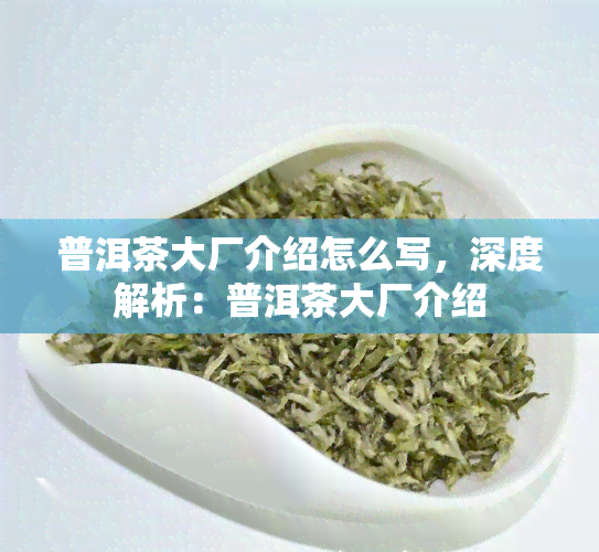 普洱茶大厂介绍怎么写，深度解析：普洱茶大厂介绍